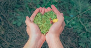 ¿Cuánto cuesta una Manifestación de Impacto Ambiental? | Precios en 2024