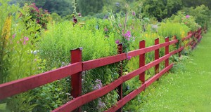 ¿Cuánto cuesta cercar un terreno? Precios en 2026