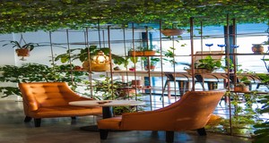 ¿Cuánto cuesta instalar un muro verde?