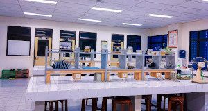 ¿Cuánto cuestan unas clases particulares de bioquímica? Precios en 2026