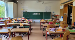 ¿Cuánto cuesta un pedagogo? Precios para 2026