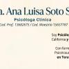 Ana Luisa