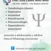 Ana Luisa