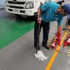 Ithec Servis