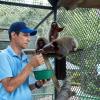 Terapias Coatis