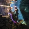 underwater mermaid photo shoot in cenote