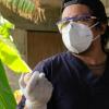 Veterinario con de gallina en biogranja en comunidades de Oaxaca. México