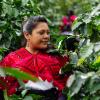 Adelina Cruz / Productora de Café. Chiapas, México