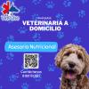 Veterinaria Vet Pulse