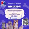 Veterinaria Vet Pulse
