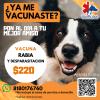 Veterinaria Vet Pulse