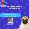 Veterinaria Vet Pulse