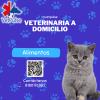 Veterinaria Vet Pulse