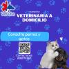 Veterinaria Vet Pulse