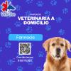 Veterinaria Vet Pulse