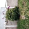 Isaac Mtz