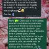 Mensaje de cliente