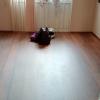 Colocacion de Piso Laminado