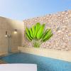 Diseño de piscina - PROPUESTA