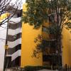 Pintura Vinílica y barniz  en alturas.