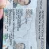 IDENTIFICACION OFICIAL