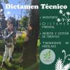 Liben  Consultores