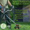 Liben  Consultores