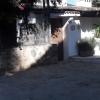 Reconstruccion de Residencia en Avandaro Valle de Bravo, Edo. De Mex. Antes
