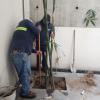 Proelec