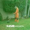 Servicio de jardinería doméstica