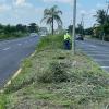 Jp Jardinería Y Mantenimiento