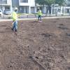 Jp Jardinería Y Mantenimiento