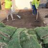 Jp Jardinería Y Mantenimiento