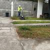 Jp Jardinería Y Mantenimiento