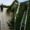 Jardinería profesional