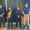 Vigilia Seguridad Privada
