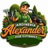 Alexanders