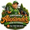 Alexanders