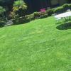 Jardineria