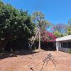 Jardineria
