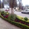 JARDINERIA PASEO COLON