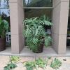 Jardinería De Oasis