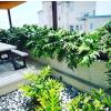 Jardinería De Oasis