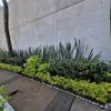 Jardinería De Oasis