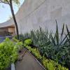 Jardinería De Oasis