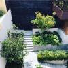 Jardinería De Oasis