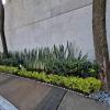 Jardinería De Oasis
