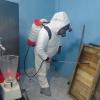 Fumigacion