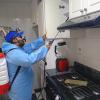 Control de plaga en cocina