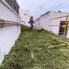 JARDINERIA EN INDUSTRIA